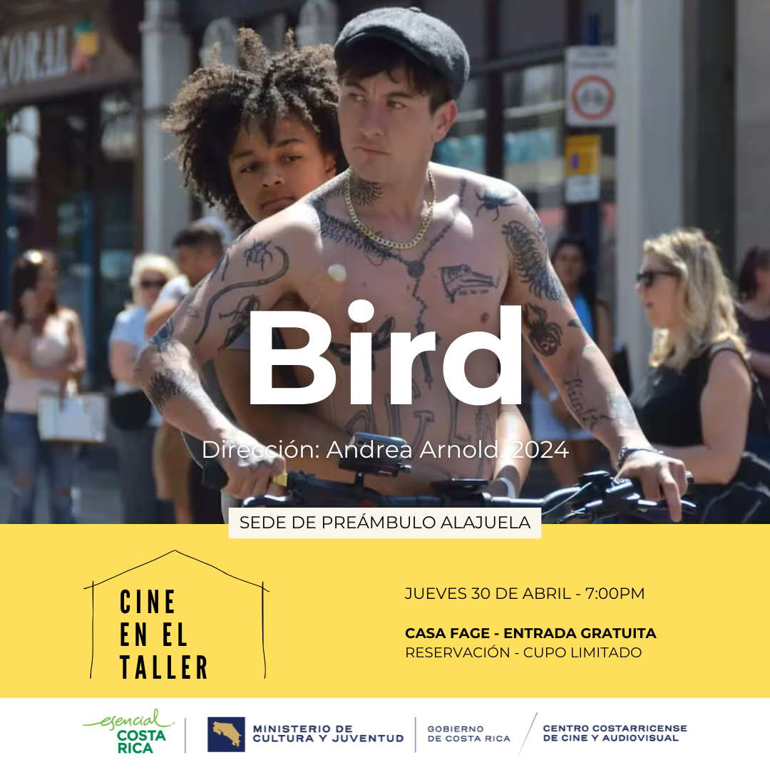 CINE EN EL TALLER - Bird