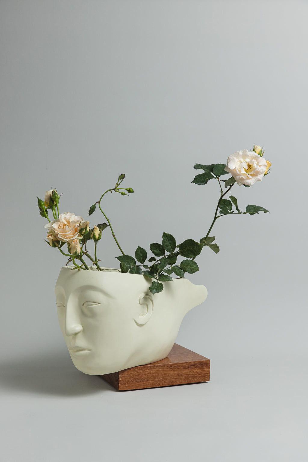 Him - Vessel Collection